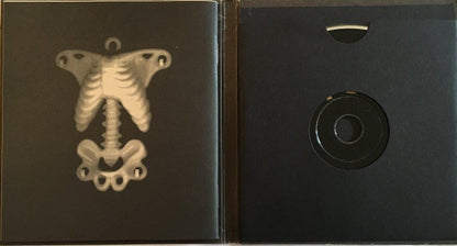 Pearl Jam : Vitalogy (CD, Album, SMA)