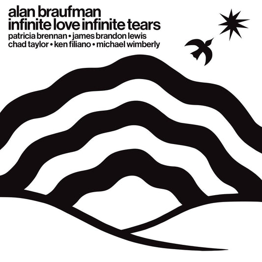 ALAN BRAUFMAN - INFINITE LOVE INFINITE TEARS (LP)